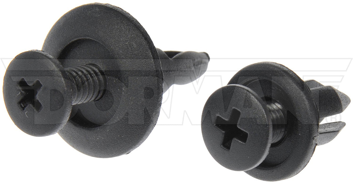 Dorman Nylon Rivet Assortment 961-045D