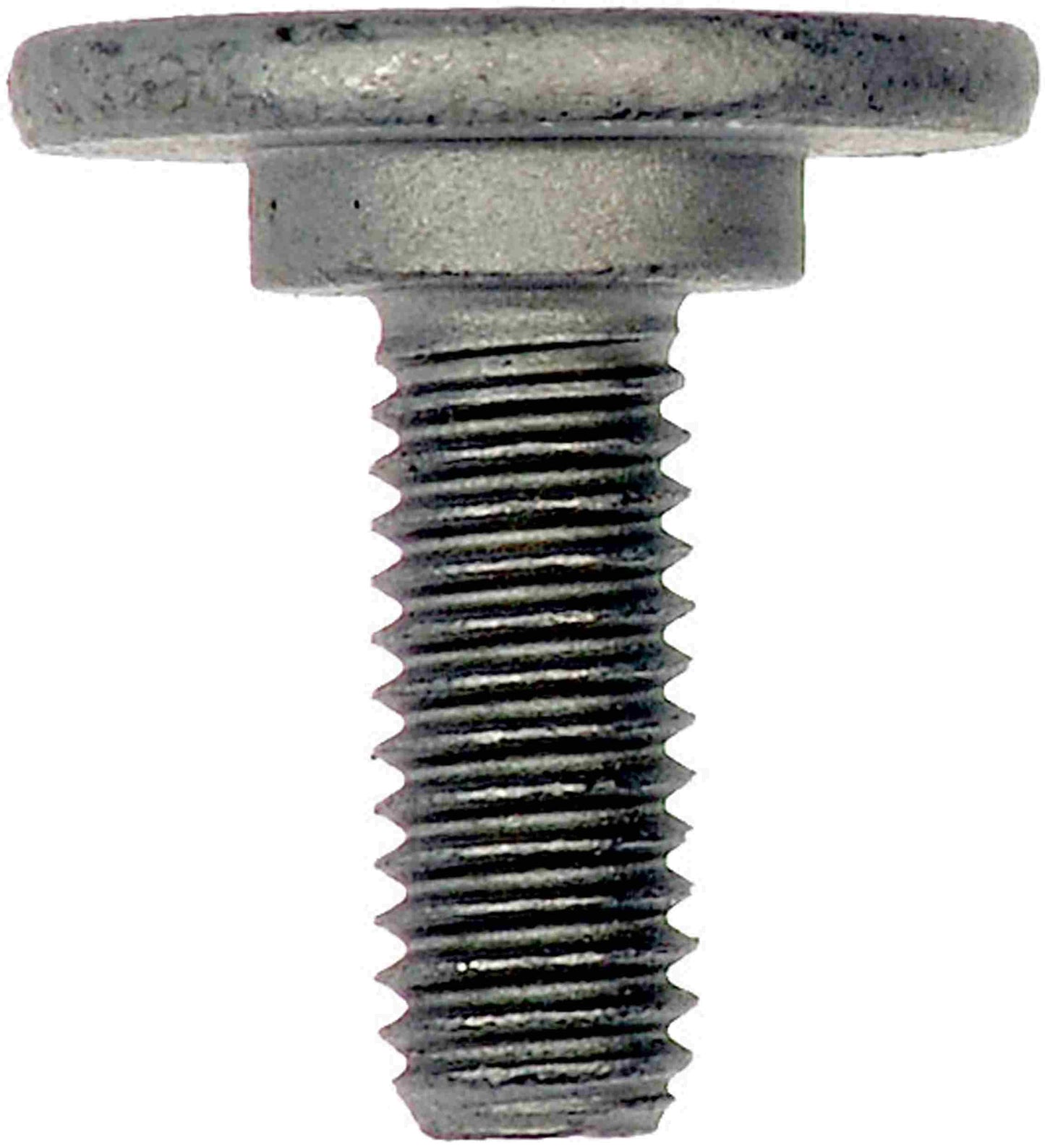 Dorman SPLASH SHIELD BOLTS 961-049D