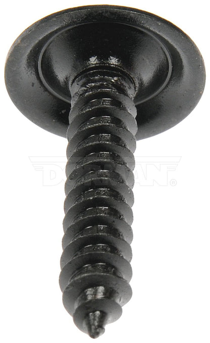 Dorman Trim Screw Assortment Black No.10-16 X 1 In. 961-201D