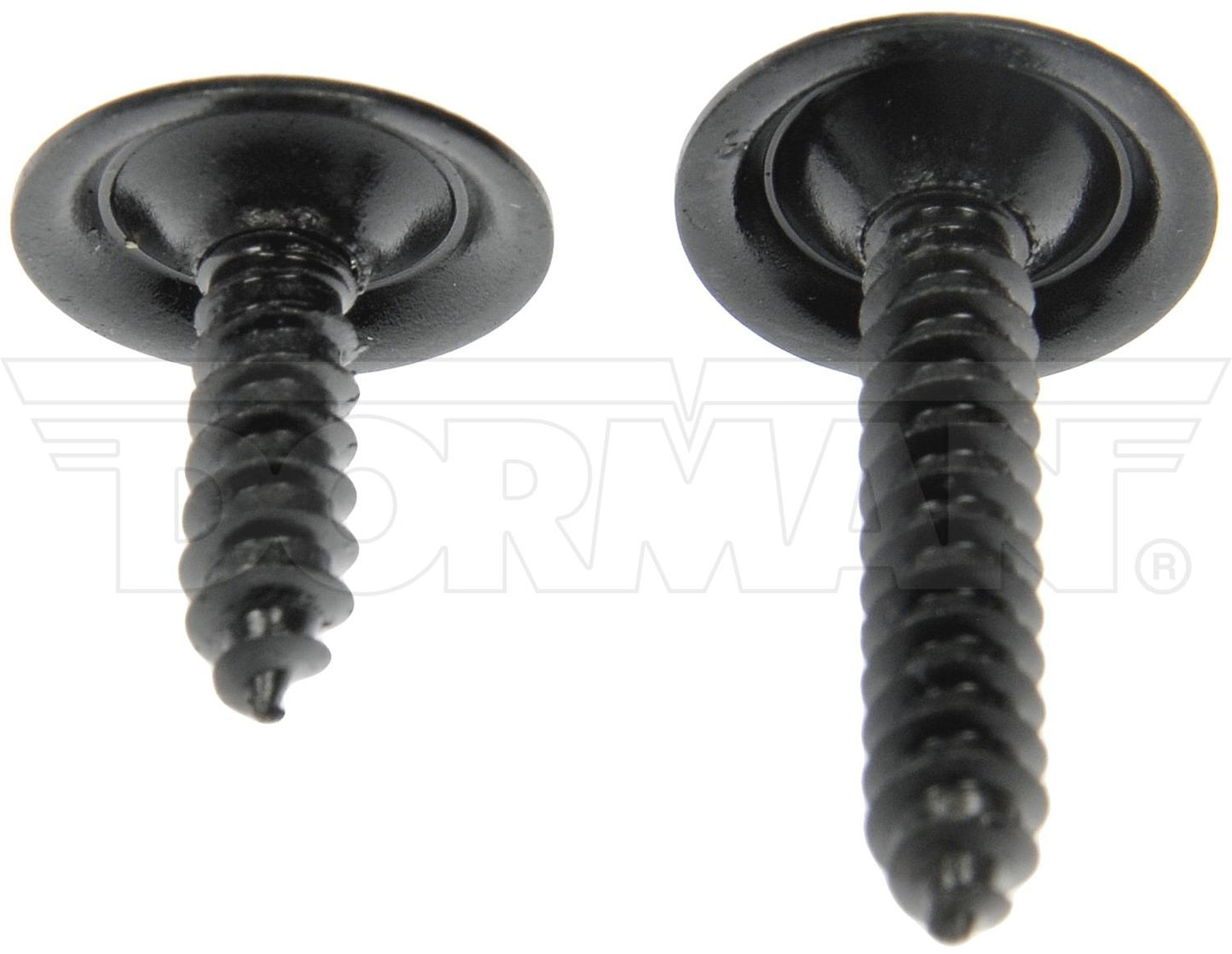 Dorman Screw Assortment Black No.8 X 5/8 In., 1 In. 961-205D