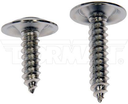 Dorman Trim Screw Assortment – Chrome 961-230D