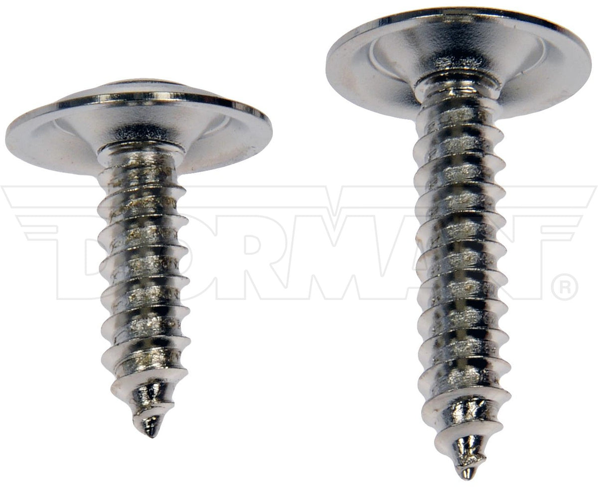 Dorman Trim Screw Assortment – Chrome 961-230D