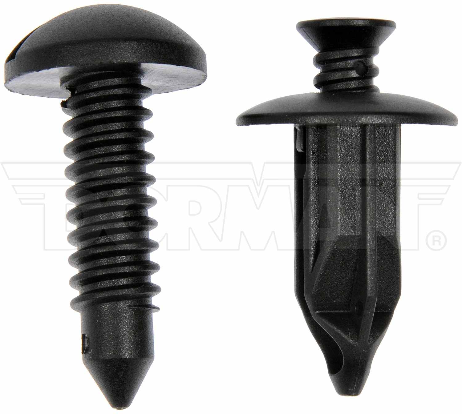 Dorman Nylon Screw And Retainer Assortment