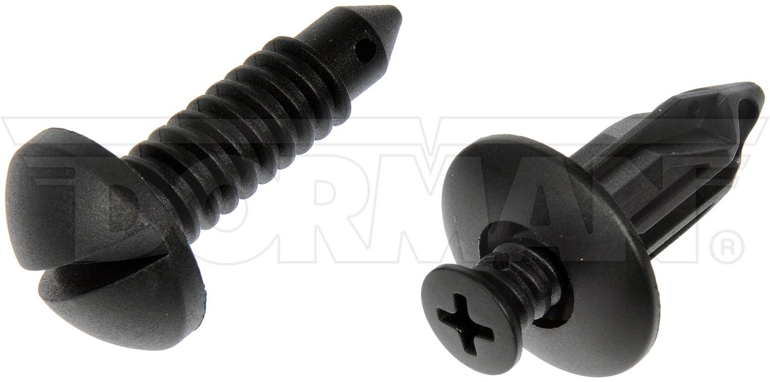 Dorman Nylon Screw And Retainer Assortment