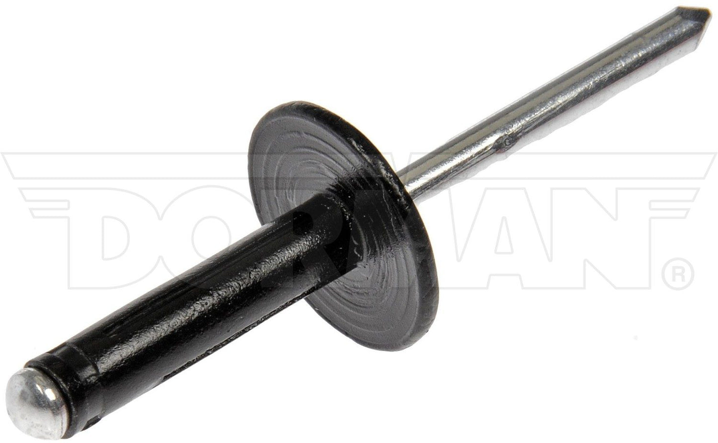 Dorman Rivet Blind Rivet Retainer Diameter 3/16 In. for 1999-2019 General Motors 963-205D