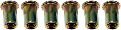 Dorman Rivet Nut 1/4-20 Tubular Steel