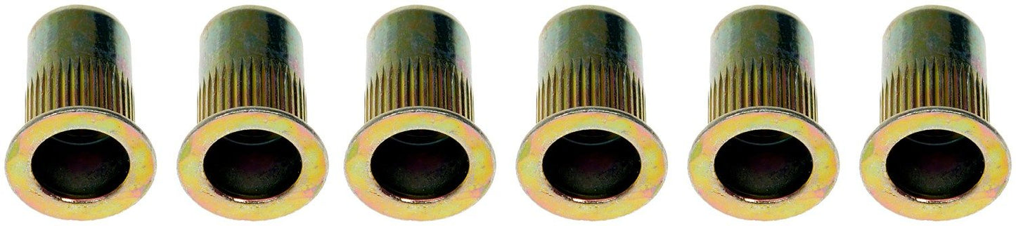 Dorman Rivet Nut 1/4-20 Tubular Steel