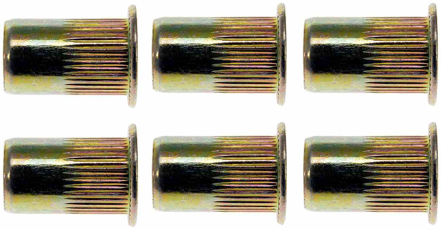 Dorman Rivet Nut 1/4-20 Tubular Steel
