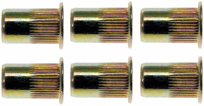 Dorman Rivet Nut 1/4-20 Tubular Steel