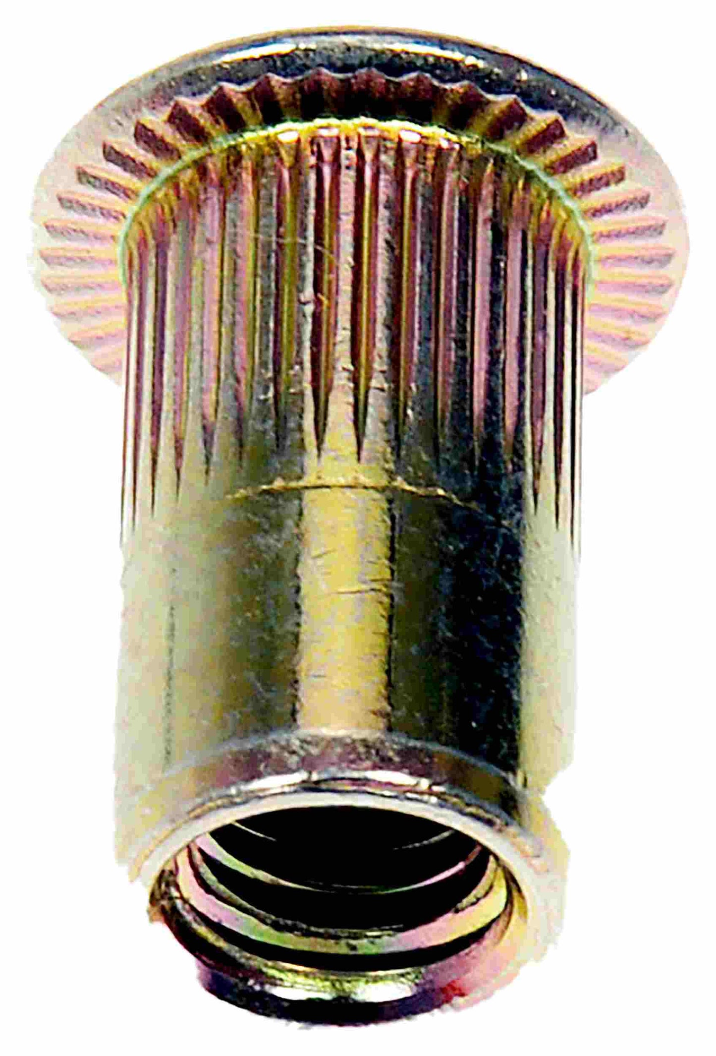Dorman Rivet Nut M5-0.8 963-253D