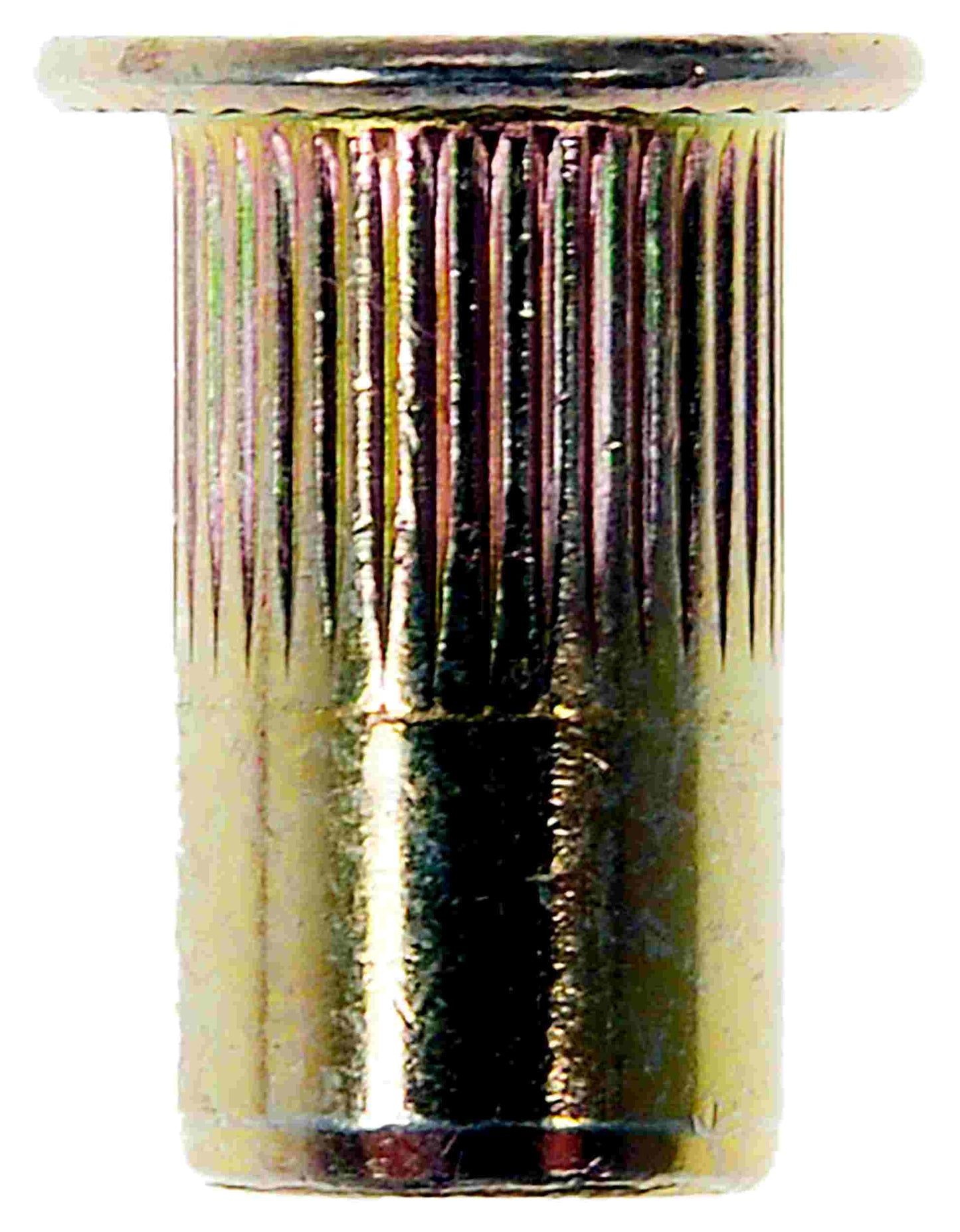 Dorman Rivet Nut M5-0.8 963-253D