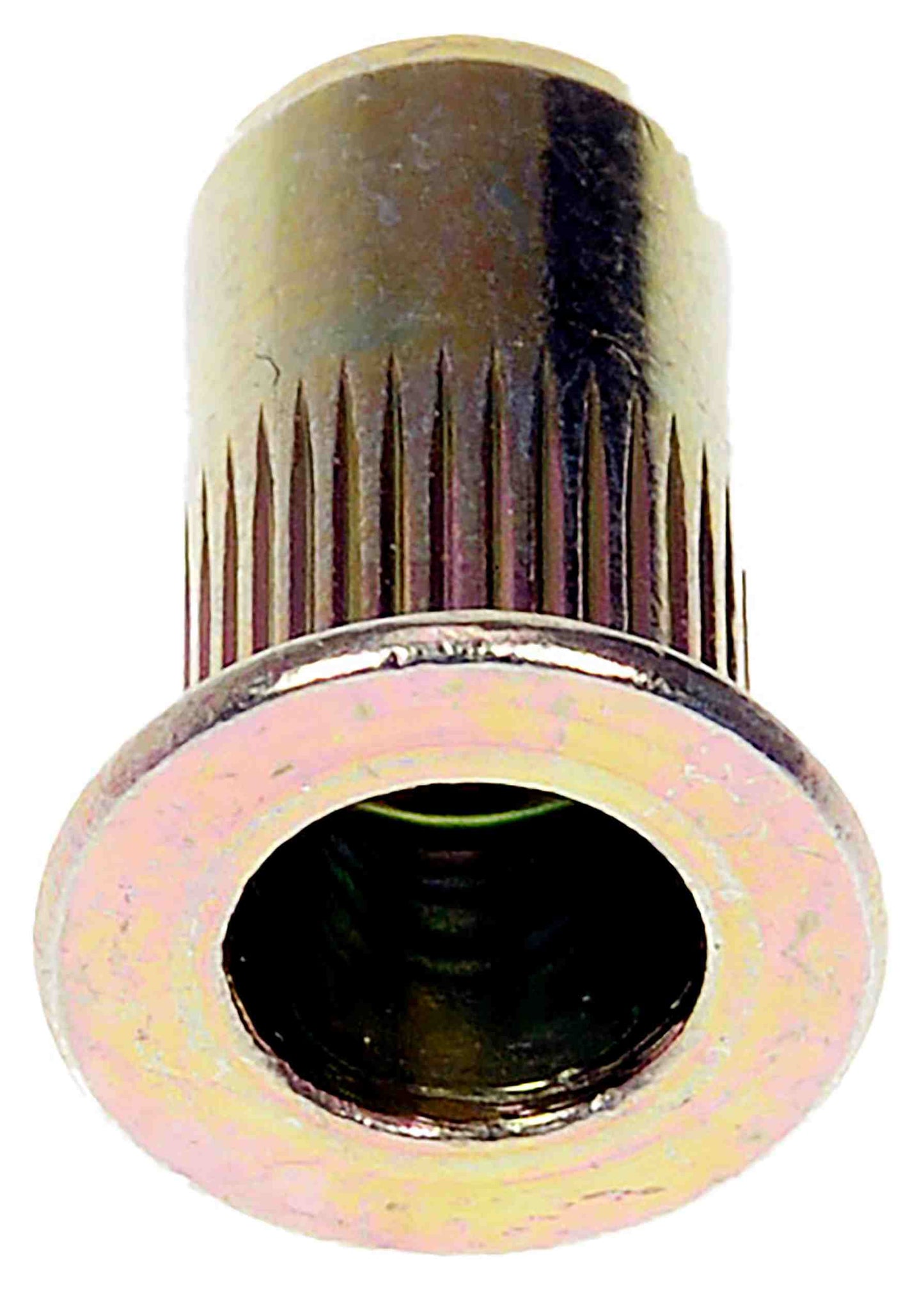 Dorman Rivet Nut M5-0.8 963-253D