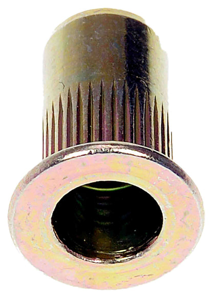 Dorman Rivet Nut M5-0.8 963-253D