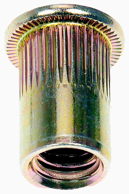Dorman Rivet Nut M8-1.25 with Tubular Steel 963-255D