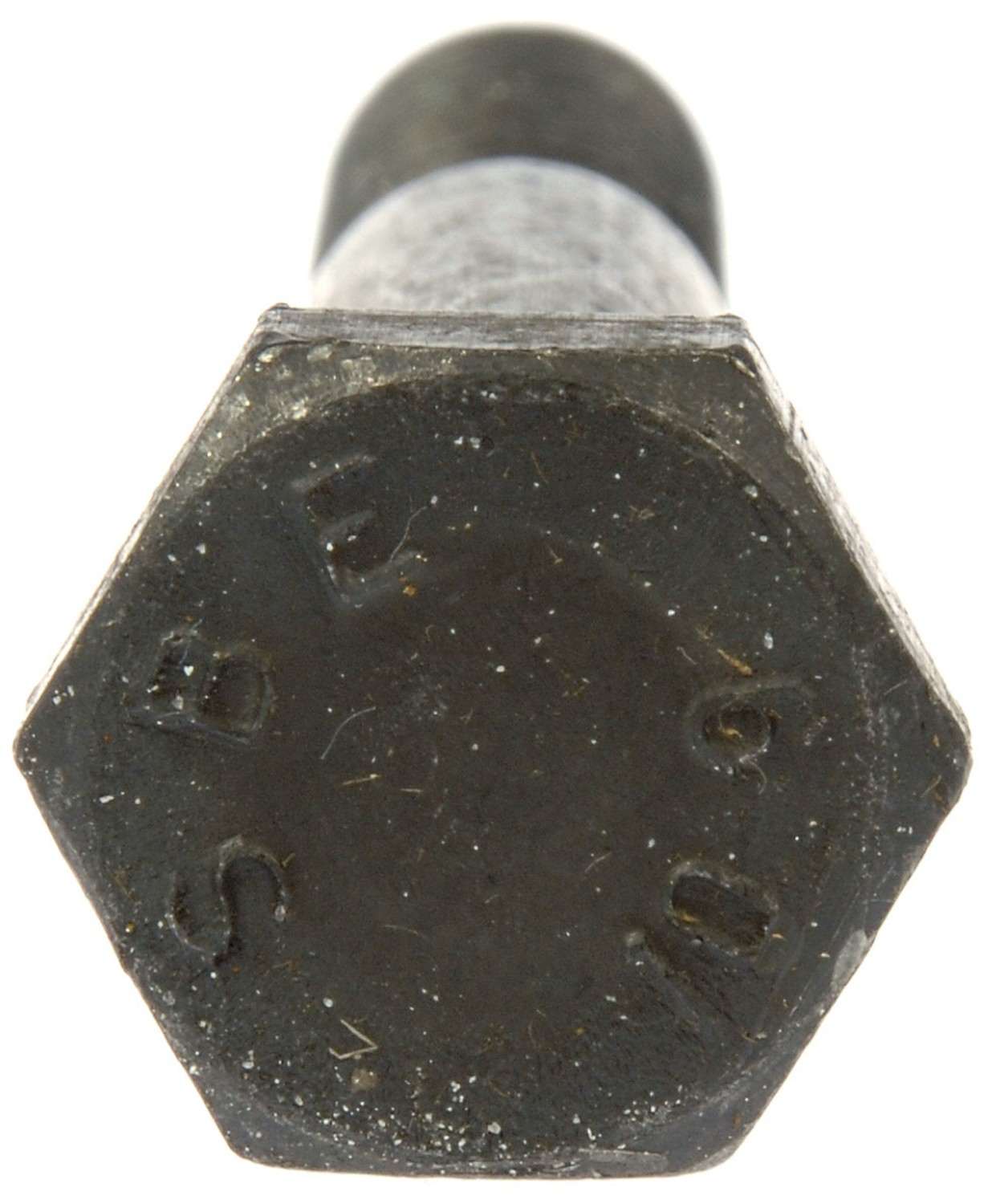 Dorman - Autograde Bolt 981-250