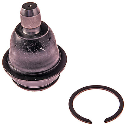 Dorman - Premium SUSPENSION BALL JOINT BJ55075PR