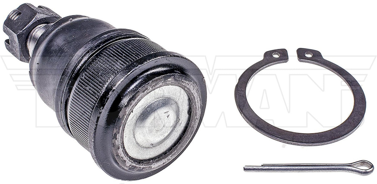 Dorman - Premium SUSPENSION BALL JOINT BJ59035PR
