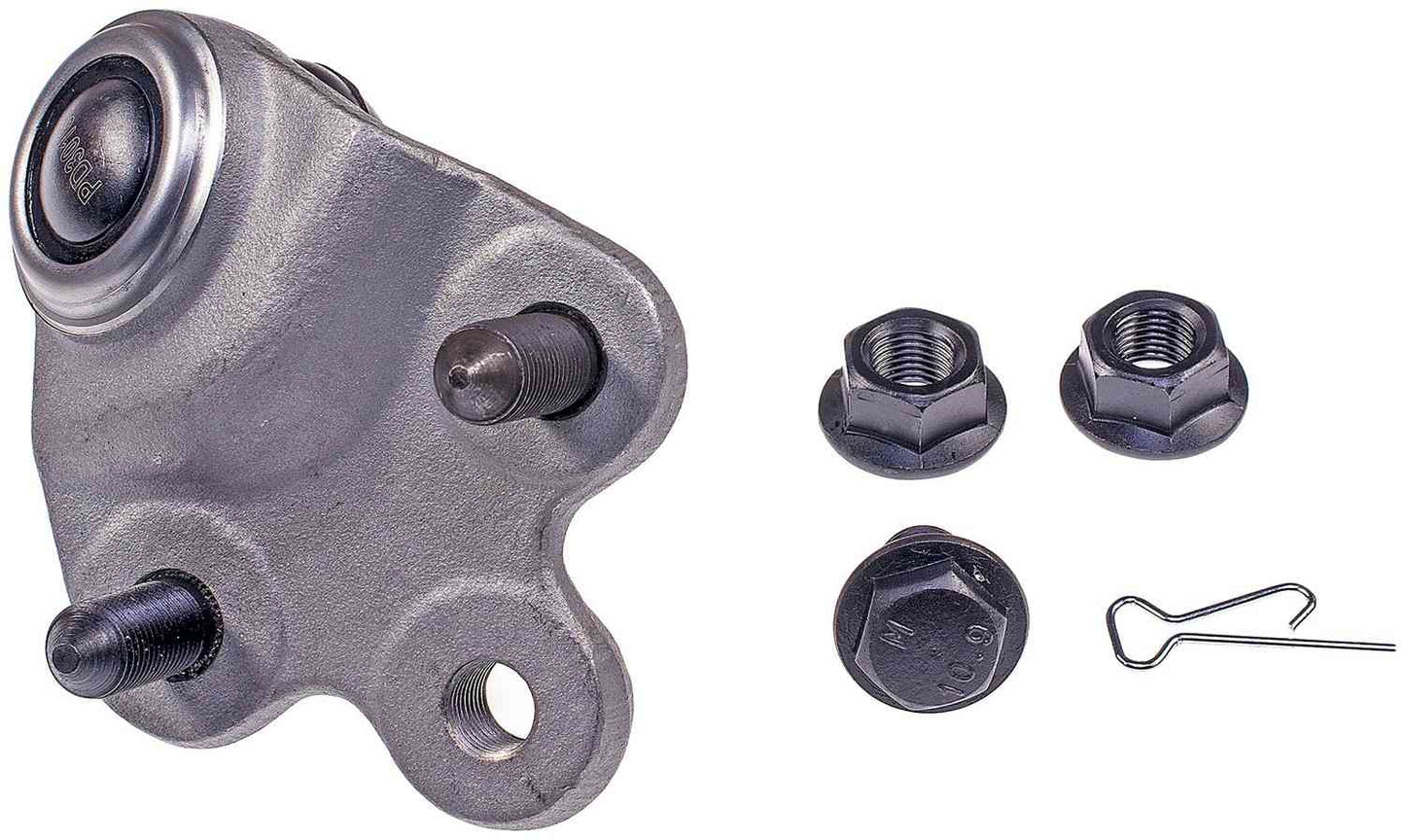 Dorman - Premium SUSPENSION BALL JOINT BJ59123XL