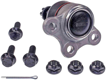 Dorman - Premium SUSPENSION BALL JOINT BJ62016XL