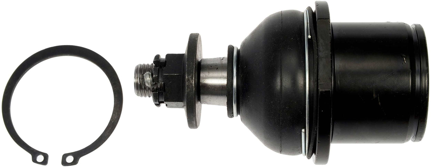 Dorman - Premium SUSPENSION BALL JOINT BJ64175PR