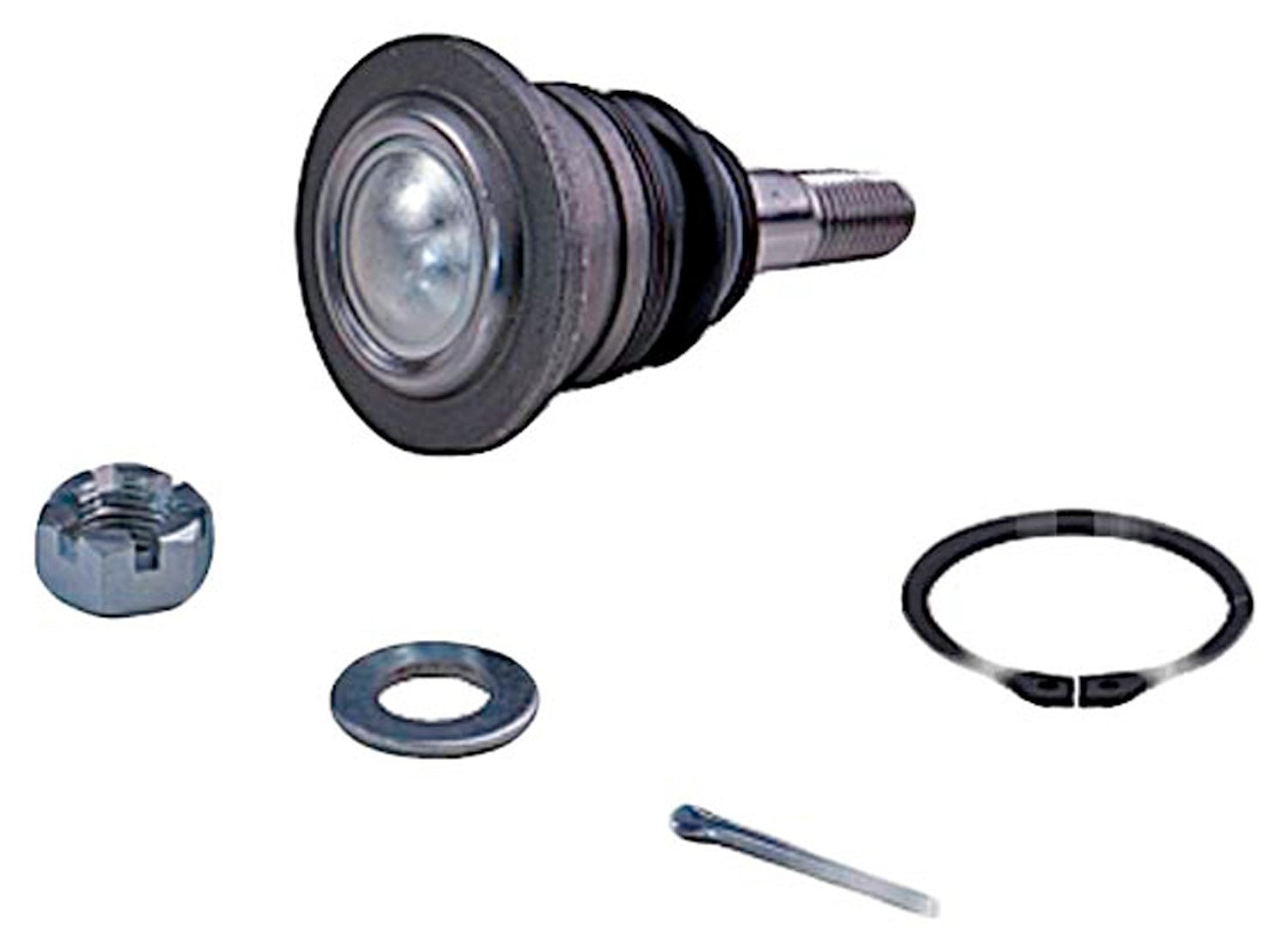 Dorman - Premium SUSPENSION BALL JOINT BJ74036PR