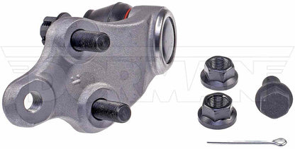 Dorman - Premium SUSPENSION BALL JOINT BJ74184XL