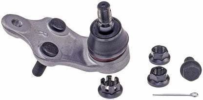Dorman - Premium SUSPENSION BALL JOINT BJ74184XL