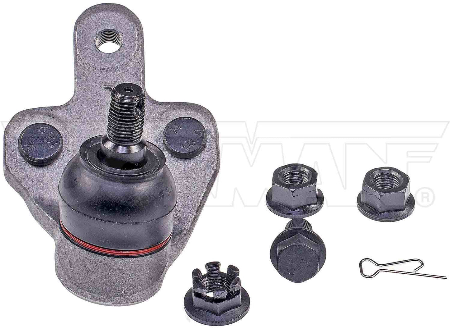 Dorman - Premium SUSPENSION BALL JOINT BJ74193XL