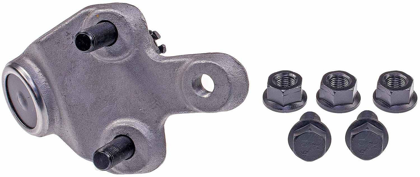 Dorman - Premium SUSPENSION BALL JOINT BJ74193XL