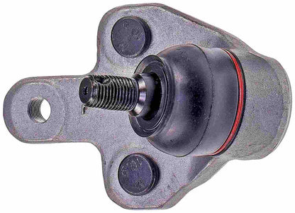 Dorman - Premium SUSPENSION BALL JOINT BJ74193XL