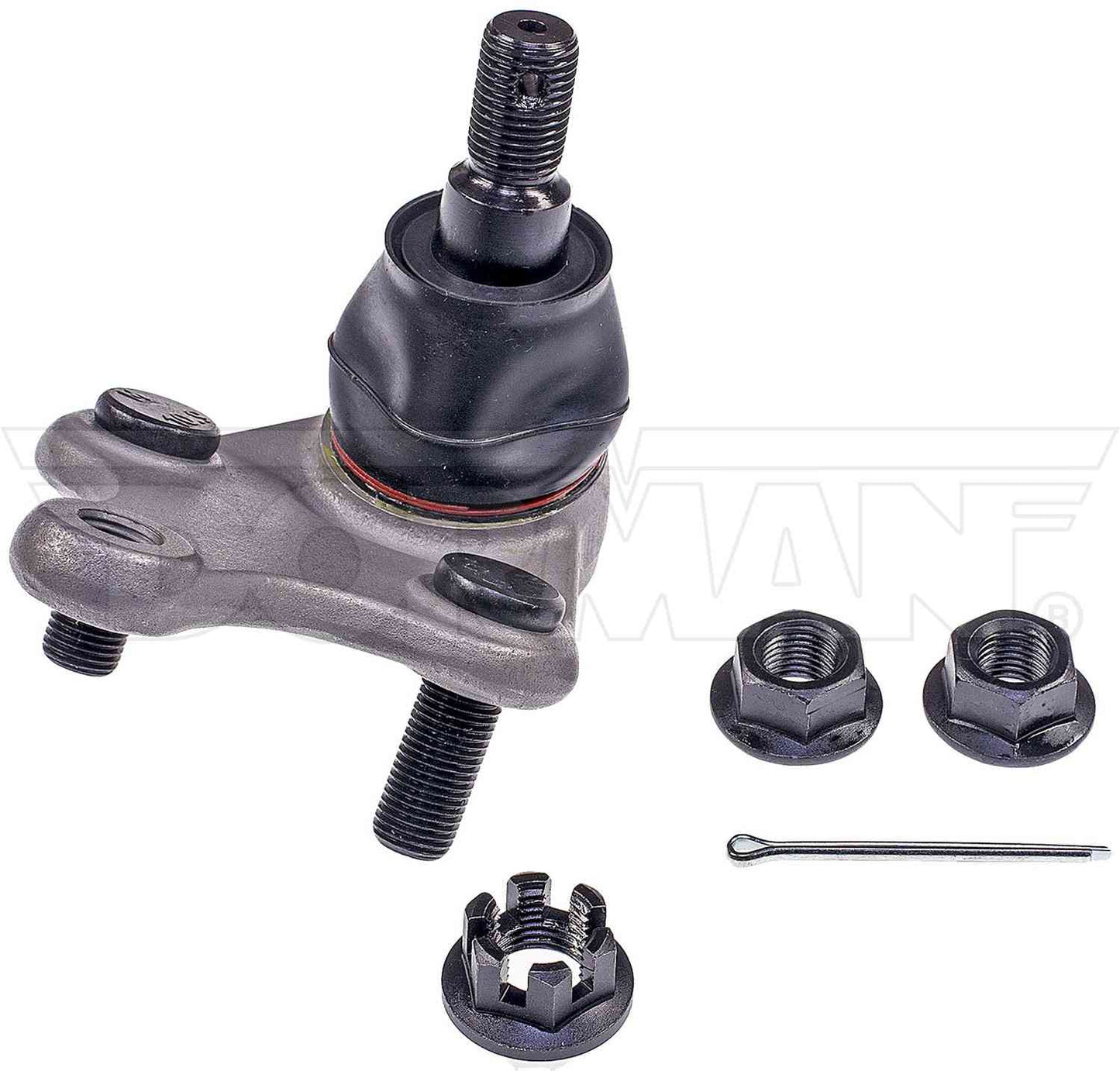 Dorman Premium Suspension Ball Joint Life with WeatherShield coating for 2012-10 Toyota, 2016-08 Scion, 2024-15 Lexus, 2024-06 Toyota BJ74335XL