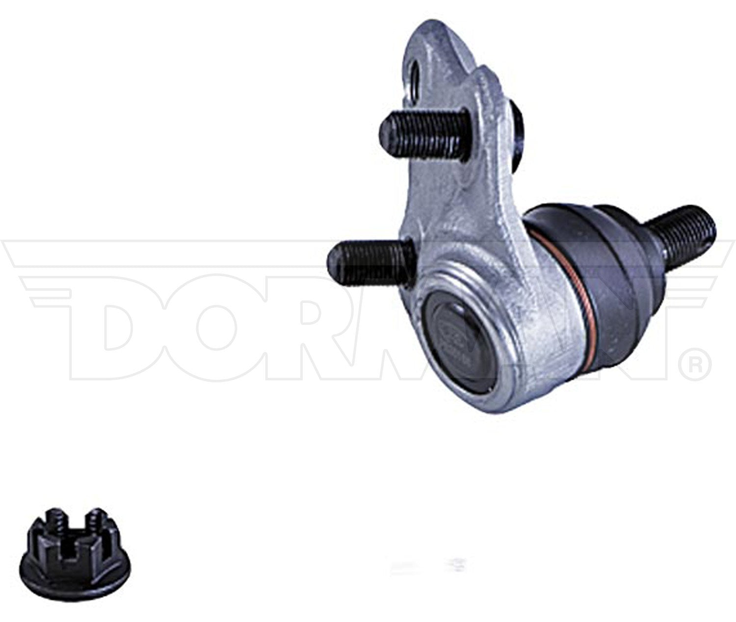 Dorman - Premium SUSPENSION BALL JOINT BJ75065XL