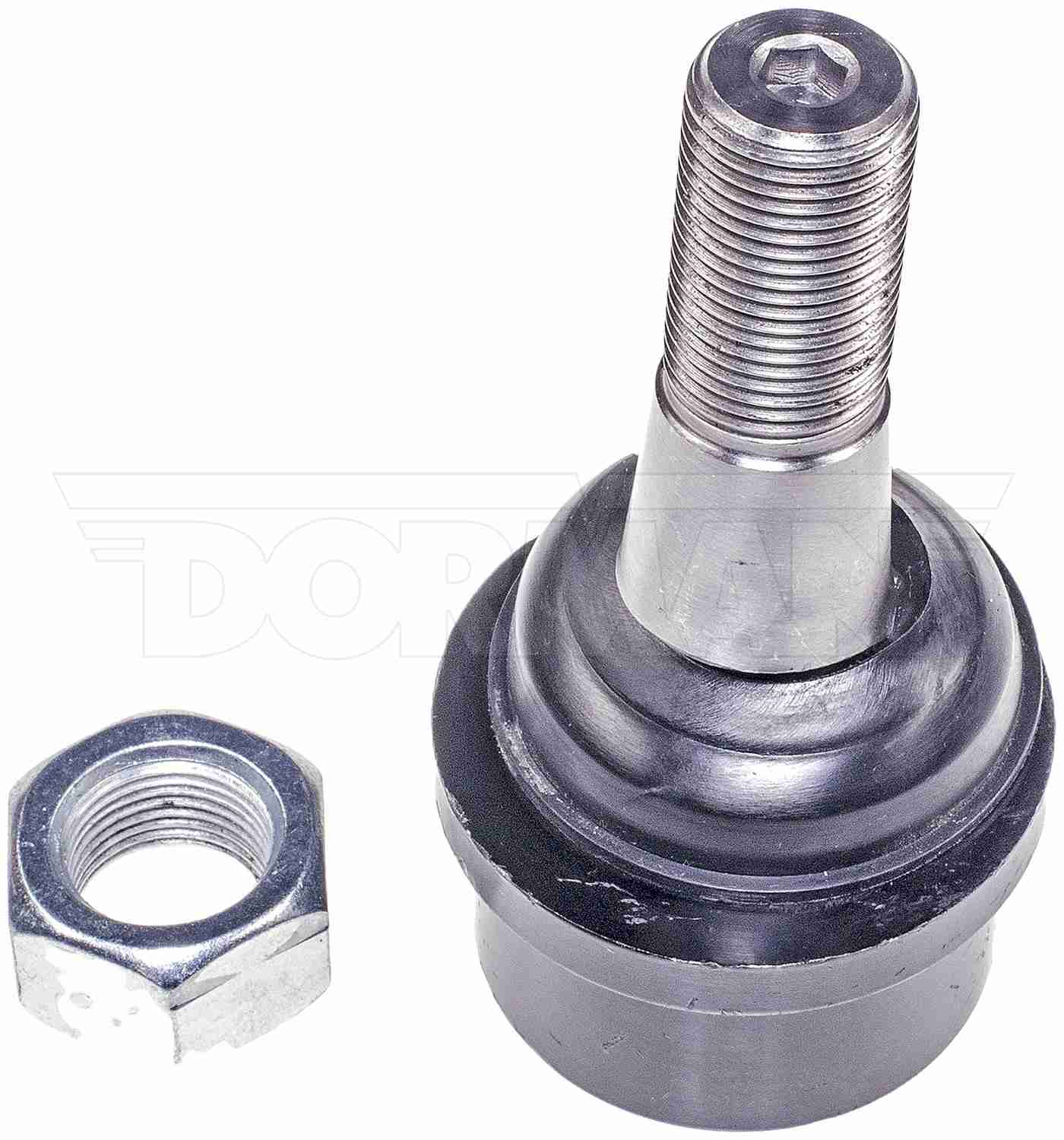 Dorman - Premium SUSPENSION BALL JOINT BJ81025PR