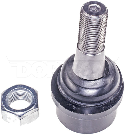 Dorman - Premium SUSPENSION BALL JOINT BJ81025PR