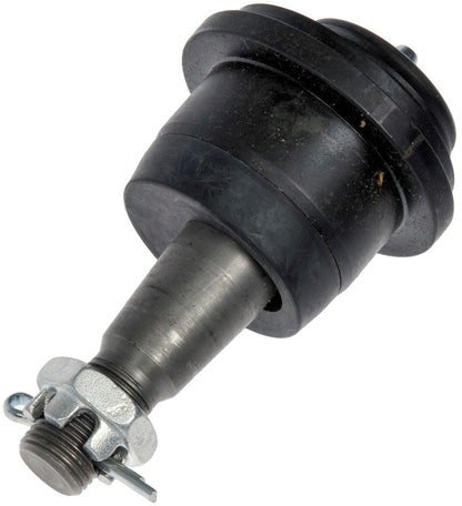 Dorman - Premium CASTER CAMBER BALL JOINT BJ811145PR