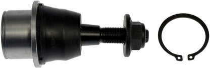Dorman - Premium SUSPENSION BALL JOINT BJ83035XL