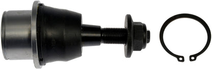 Dorman - Premium SUSPENSION BALL JOINT BJ83035XL