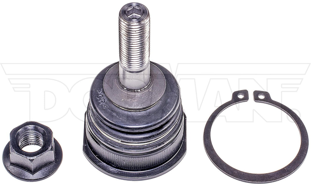 Dorman - Premium SUSPENSION BALL JOINT BJ85096PR