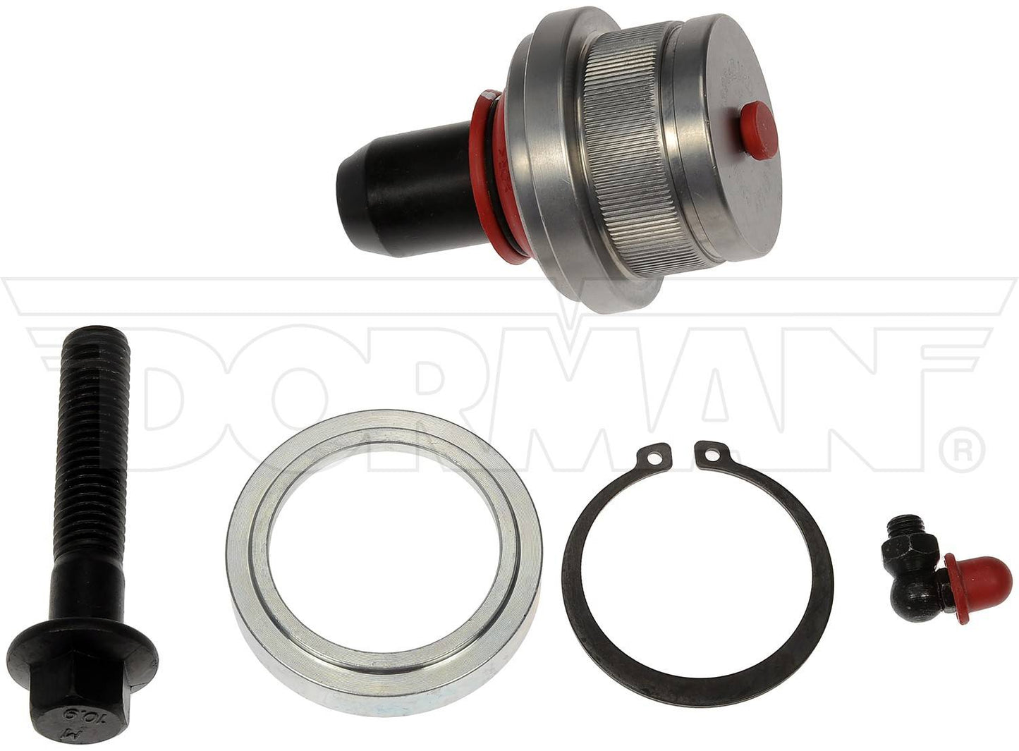 Dorman - OE Solutions Suspension Ball Joint Lower with Rugged Duty for Ford 1989-2019, 2021-2024 and Mazda 1992-1997 BJ85156RD