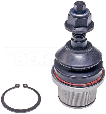 Dorman - Premium SUSPENSION BALL JOINT BJ86245XL