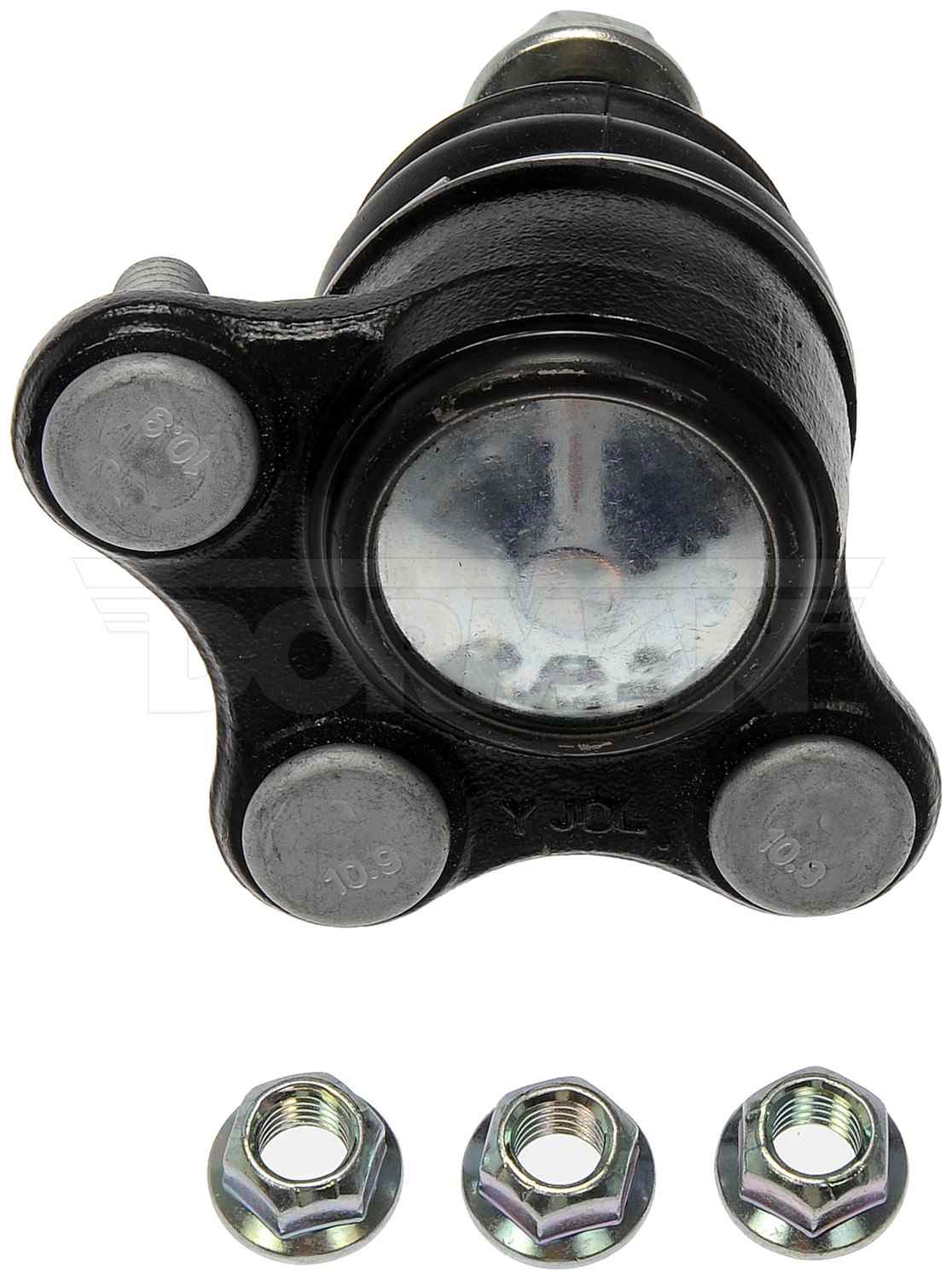 Dorman - Premium SUSPENSION BALL JOINT BJ90186GPR