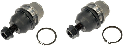 Dorman - Premium SUSPENSION KIT FEK92149XL