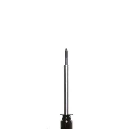 PRT PRT Suspension Strut 473014