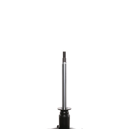PRT Suspension Strut 473403