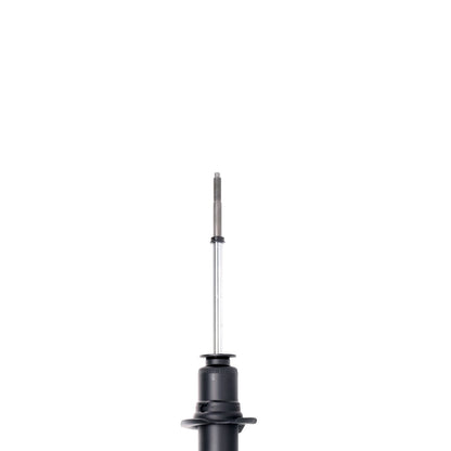 PRT PRT Suspension Strut 473687