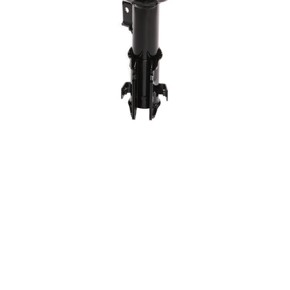 PRT Suspension Strut 474887