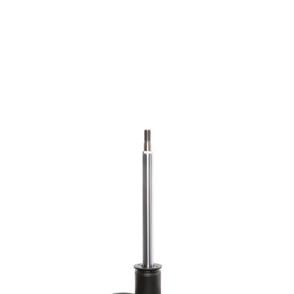 PRT Suspension Strut 474923