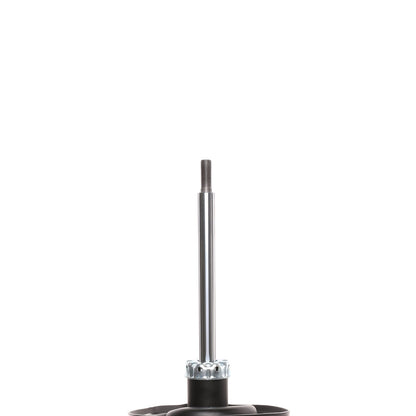 PRT Suspension Strut 474953