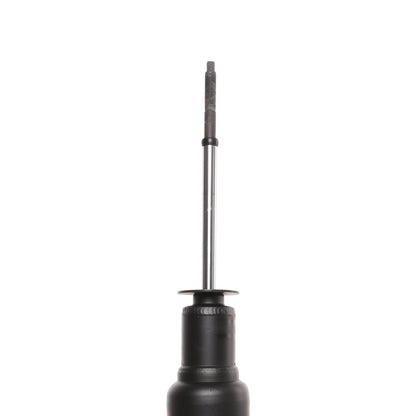 PRT Suspension Strut 475084