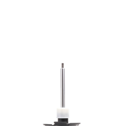 PRT Suspension Strut 478910